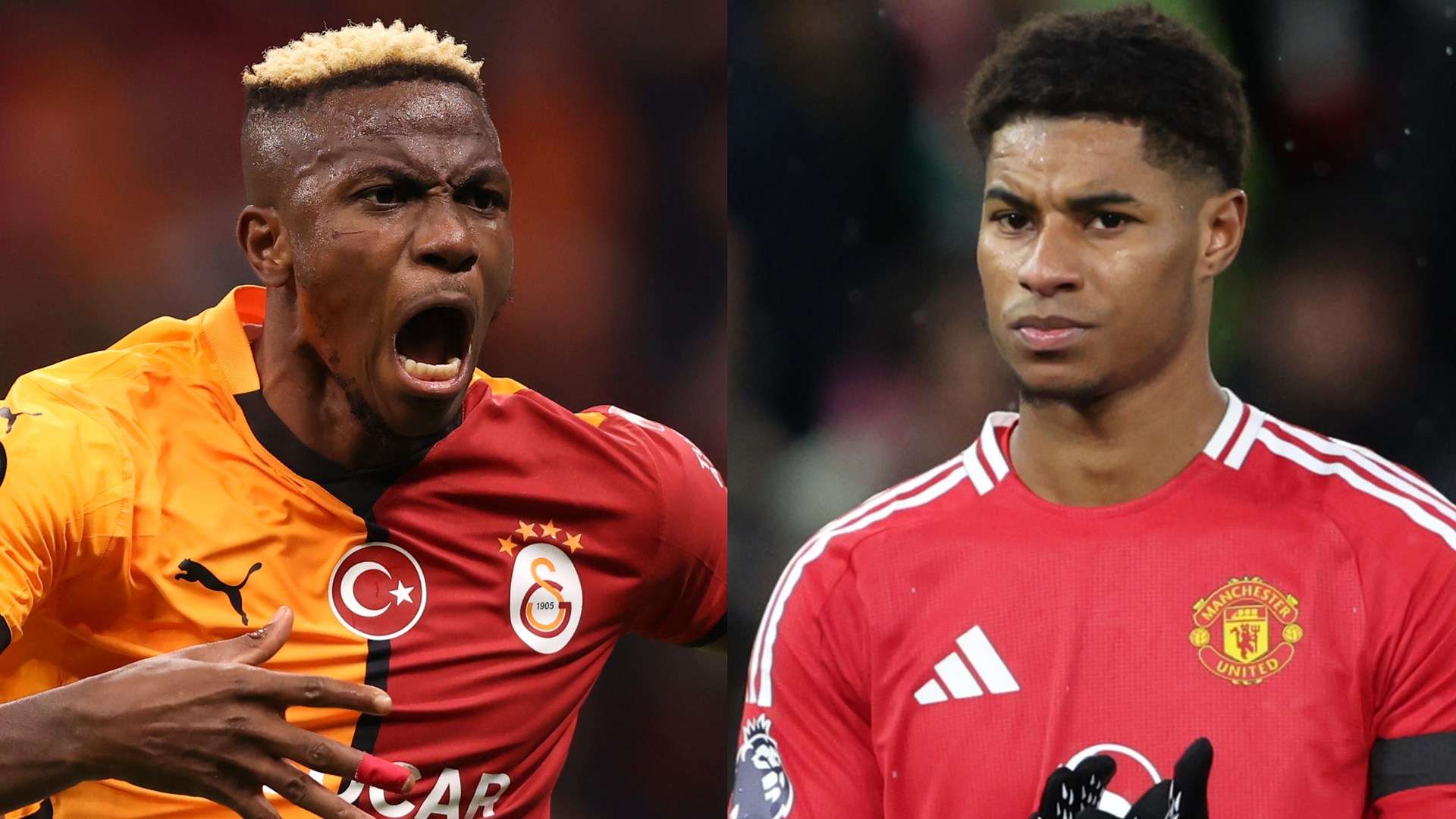 星却选择留 星却选择留